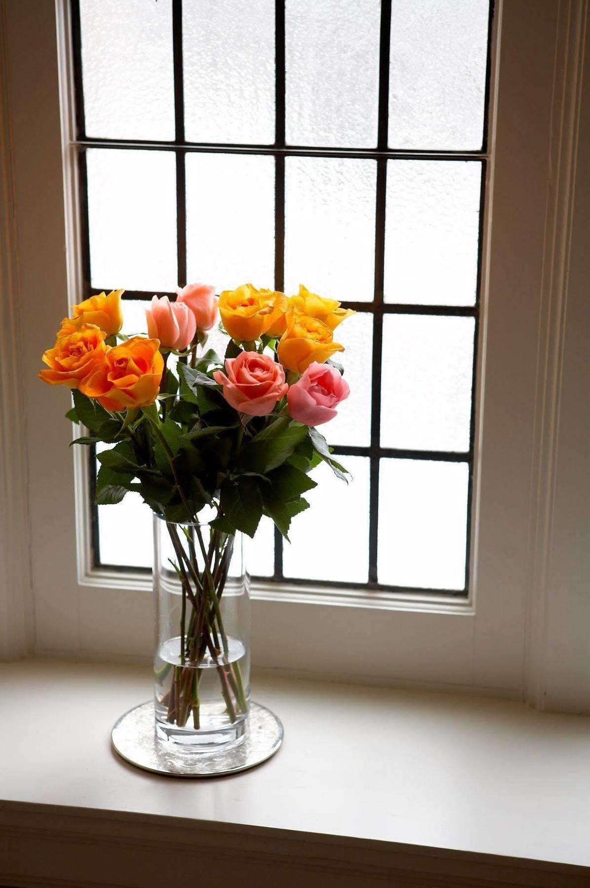Springbank House Inn Saint Catharines ภายนอก รูปภาพ